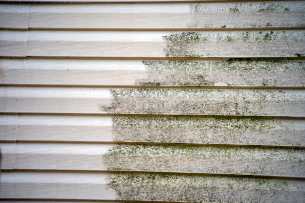Best Wood Siding Installation  in Sea Isle City, NJ