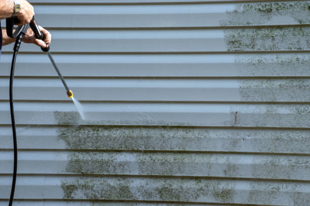 Best Steel Siding Installation  in Sea Isle City, NJ
