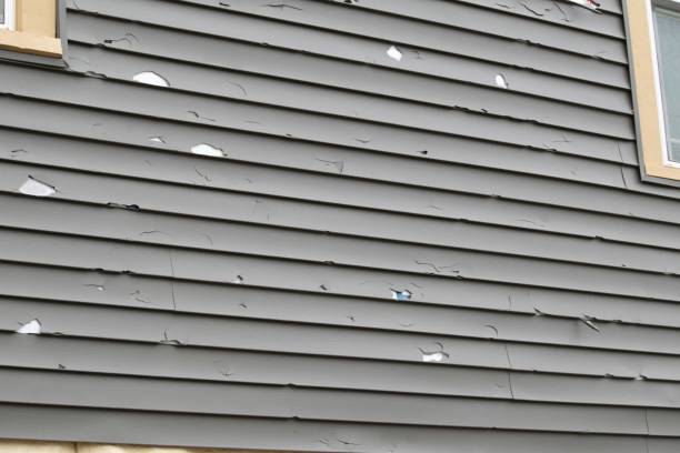 Sea Isle City, NJ Siding Installation & Repair Company