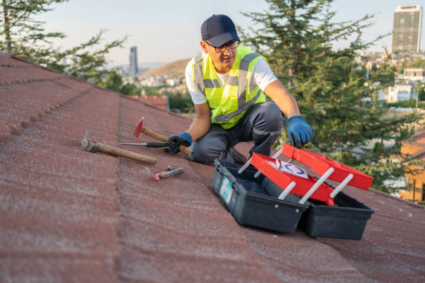 Best Siding Painting and Refinishing  in Sea Isle City, NJ